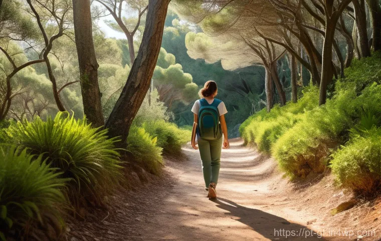 아웃도어 테라피와 자기 개발 - Prompt 1: Serene Forest Walk in Arrábida Natural Park**