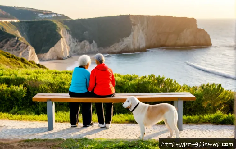 Terapia ao ar livre com animais: quando faz sentido, segurança e como escolher um programa 3 아웃도어 테라피와 동물 치료의 연계 관련 이미지 1